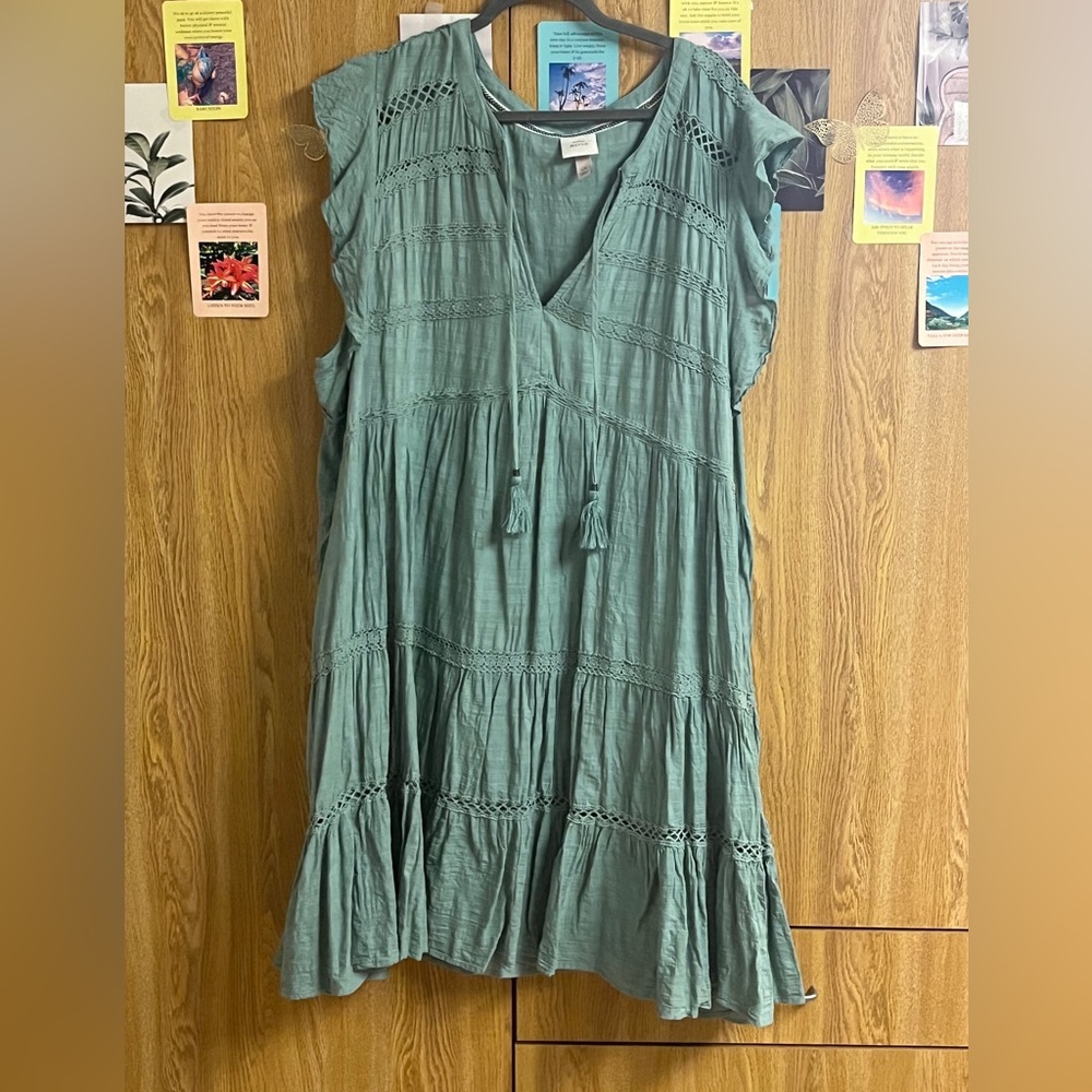 Knox rose green sage lace V-neck sundress 4xl